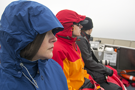 cold victoria orca tour